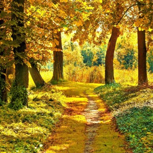 It's Fall and a freshly painted outdoors beckons. Happy trails to you.